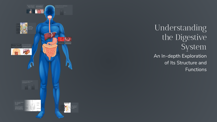 Understanding the Digestive System by Georgia Smethurst on Prezi