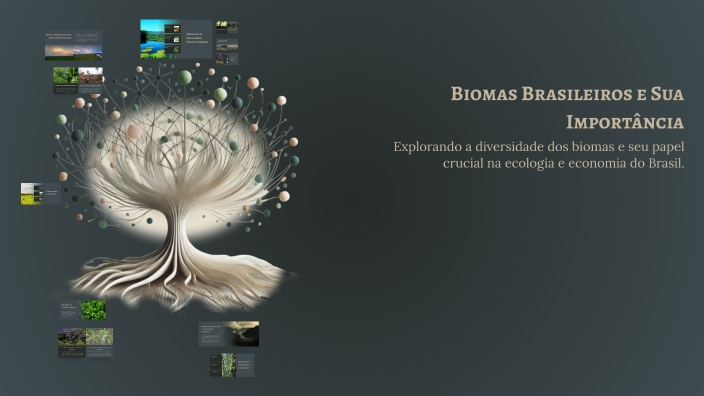 Biomas Brasileiros e Sua Importância by Katiana Souza on Prezi