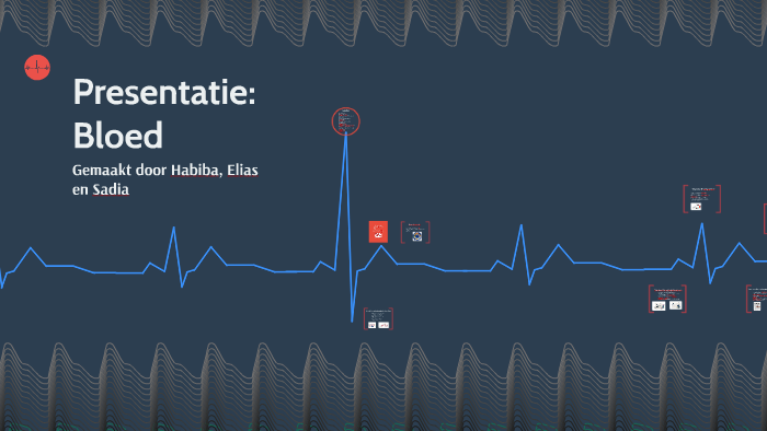 Presentatie: Bloed by Sadia Tralala