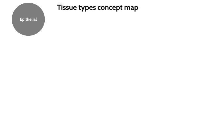 Tissue types concept map by Ivan Kremers on Prezi