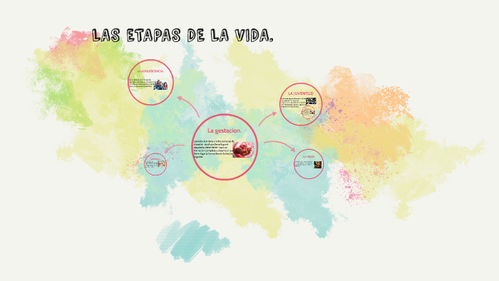 LAS ETAPAS DE LA VIDA. by Jaider fabian Bohorquez florez on Prezi