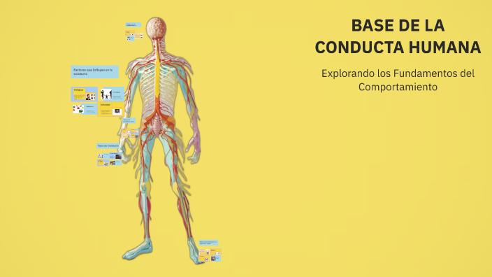BASE DE LA CONDUCTA HUMANA by Anabel Andara on Prezi