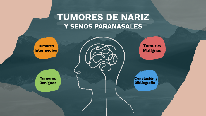 Tumores nasales by Equipo Otorrinolaringología on Prezi