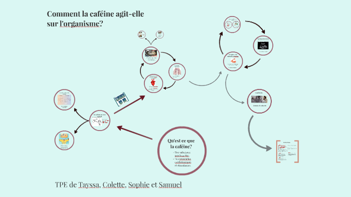 comment agit la cafeine