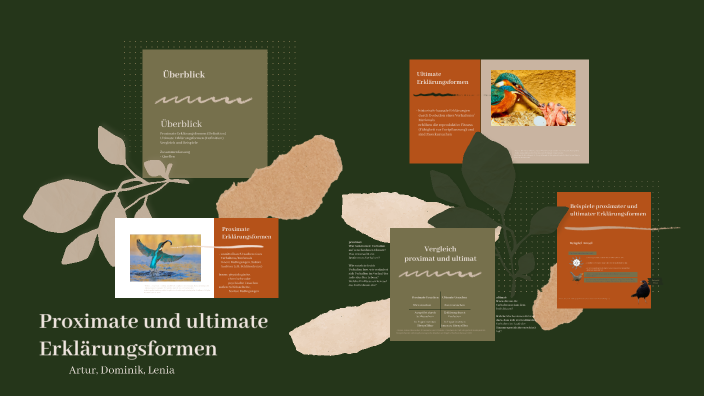Proximate und ultimate Erklärungsformen in der Biologie by Lenia . on Prezi