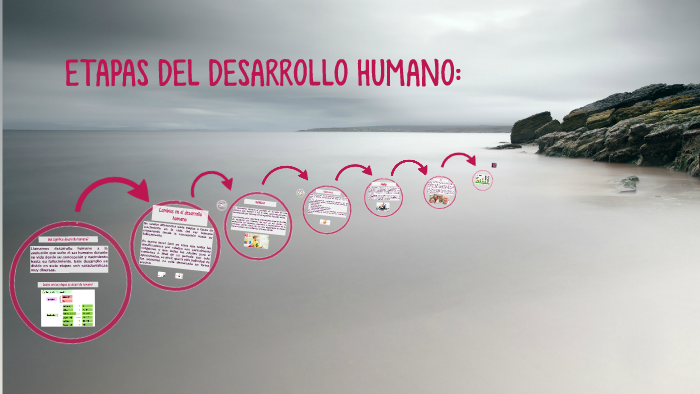 ETAPAS DEL DESARROLLO HUMANO by Zuleyka Peralta on Prezi