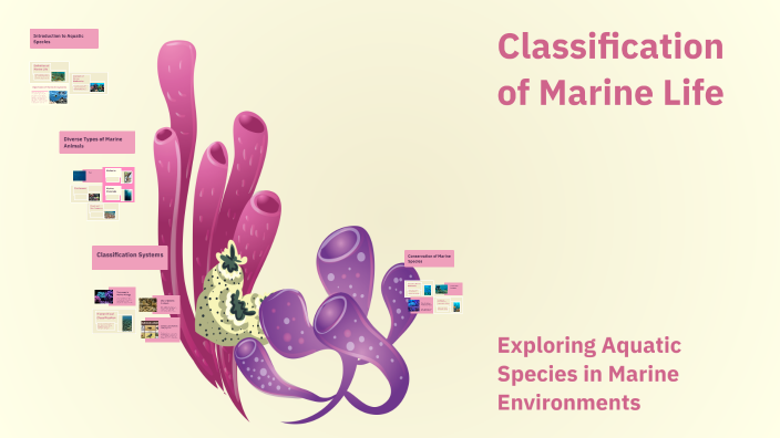Classification of Marine Life by Pardis Vahabi on Prezi