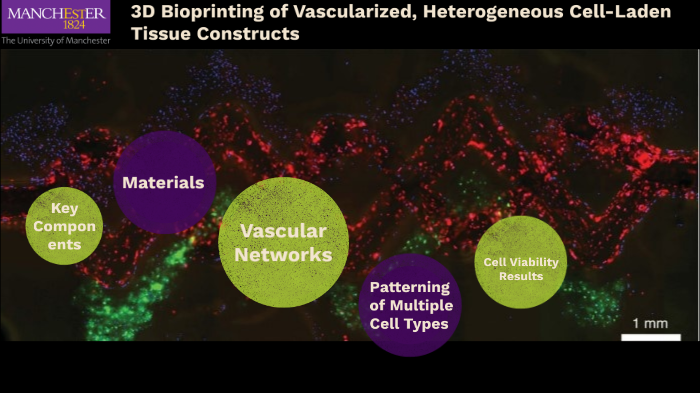 3D Bioprinting of Vascularized, Heterogeneous Cell-Laden Tissue ...