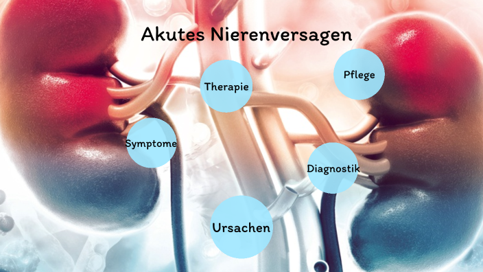 Nierenversagen Wie Lange Lebt Man Noch prezi.com
