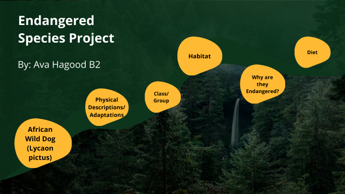 APES Endangered Species Project by Ava Hagood on Prezi