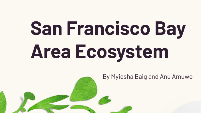 San Francisco Bay Area Ecosystem by Myiesha Baig on Prezi