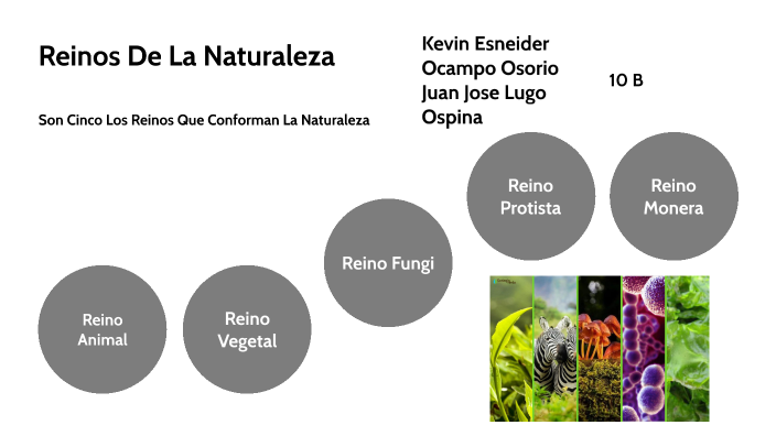Tecnologia Prezi Reinos by Kevin Osorio on Prezi