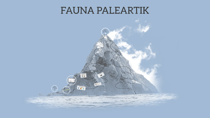 Download 980 Gambar Fauna Paleartik Terbaru 