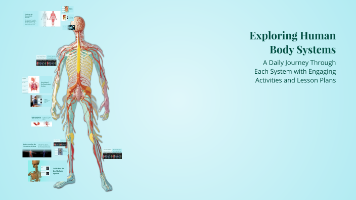 Exploring Human Body Systems by Ashley Mulholland on Prezi
