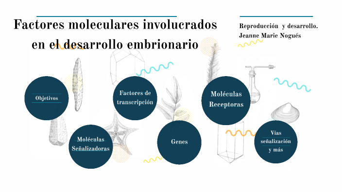 Factores moleculares by Jeanne Nogues