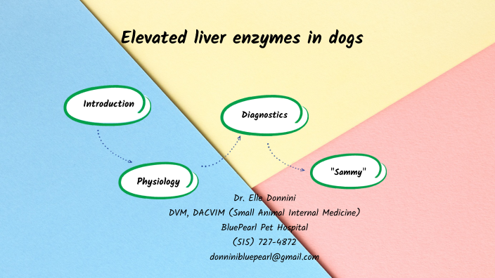 Elevated liver enzymes in dogs: more than another boring presentation ...