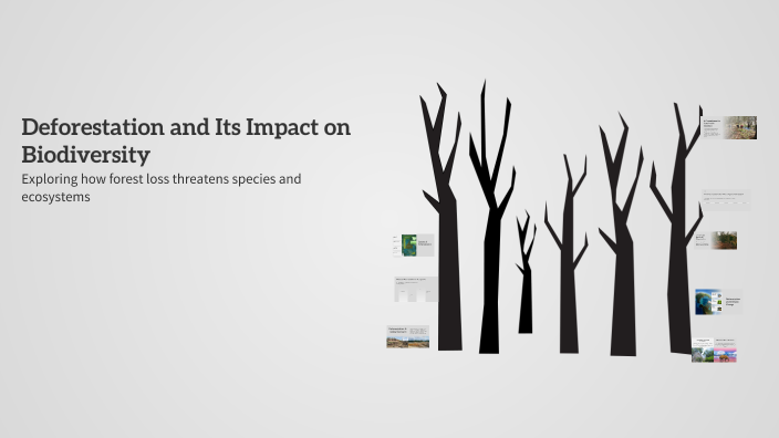 Deforestation and Its Impact on Biodiversity by Faheela Faizi on Prezi