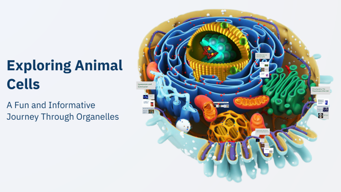 Exploring Animal Cells by Omar hakki on Prezi