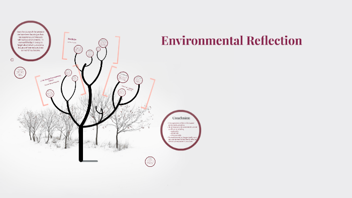 Environmental Reflection by Katy Mitlyng on Prezi