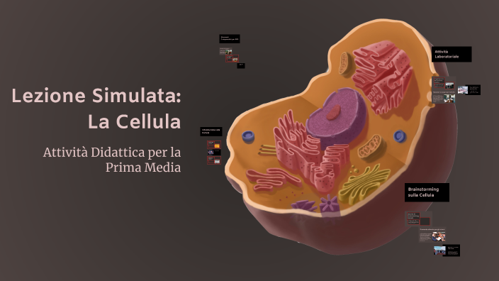 Lezione Simulata: La Cellula by Luisa Meloni on Prezi