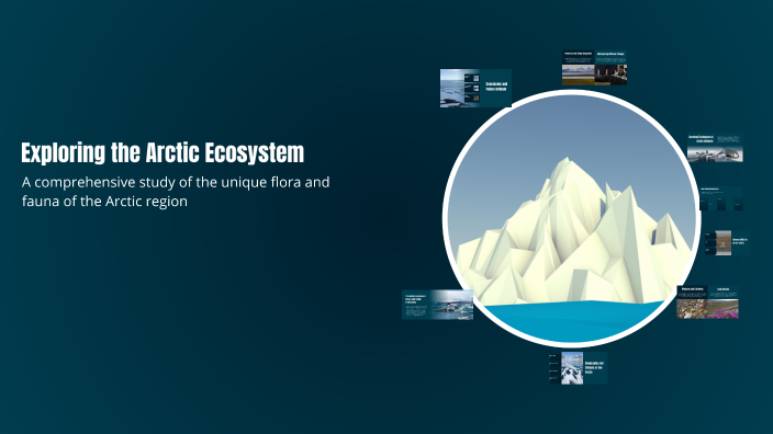 Exploring the Arctic Ecosystem by Rena s on Prezi