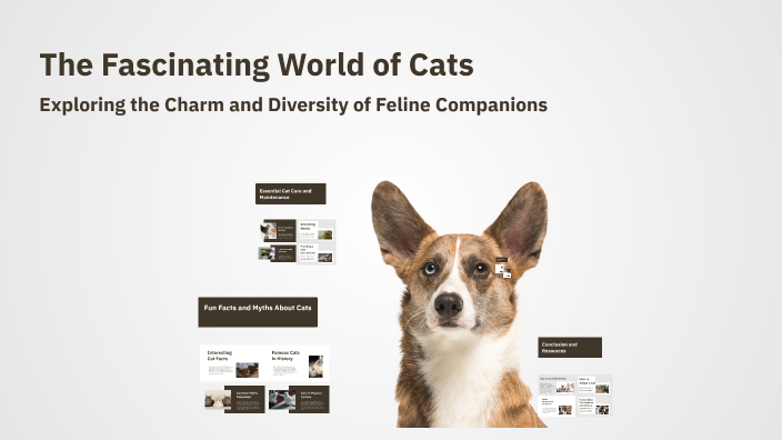 The Fascinating World of Cats by алиса мещерякова on Prezi