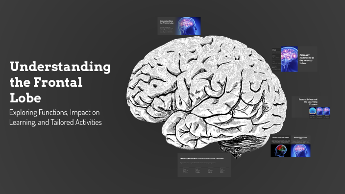 Understanding the Frontal Lobe by Melissa Wood Schantz on Prezi