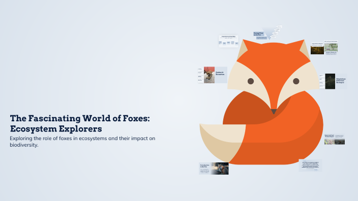 The Fascinating World of Foxes: Ecosystem Explorers by Wyatt Dickey on ...