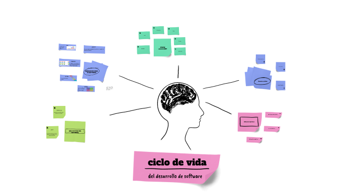 Ciclo de vida by Danna Alejandra Lopez on Prezi