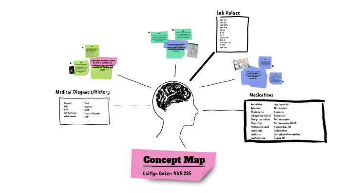 Concept Map by Caitlyn Baker on Prezi