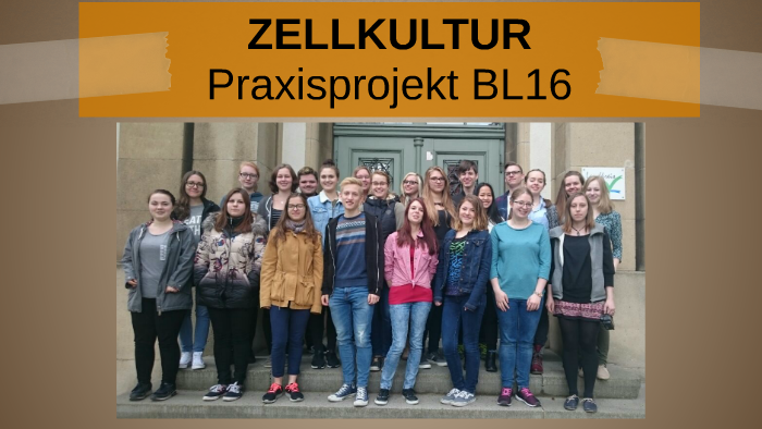 Praxisprojekt Bl16 By On Prezi - 