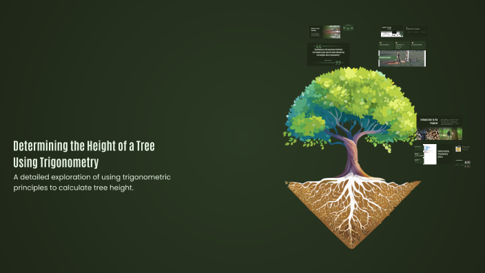 Determining the Height of a Tree Using Trigonometry by Mera Sookhoo on ...