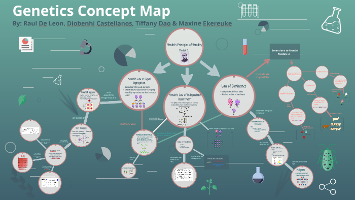 Genetics Concept Map By Diobenhi Castellanos On Prezi 2880