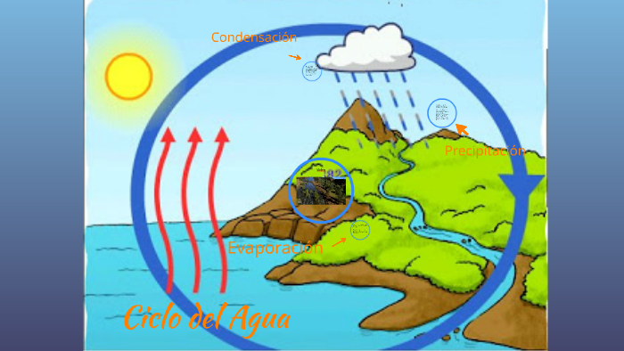 Este vapor de agua se eleva y va formando las nubes que lleg by eduardo ...