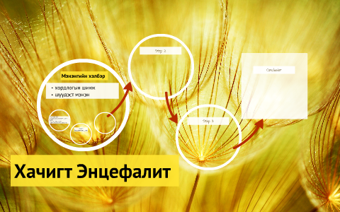Хачигт Энцефалит by Т. Уянга on Prezi