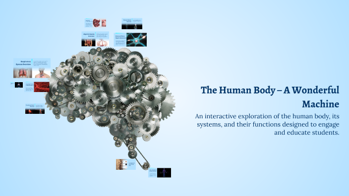 The Human Body – A Wonderful Machine by Sultan on Prezi