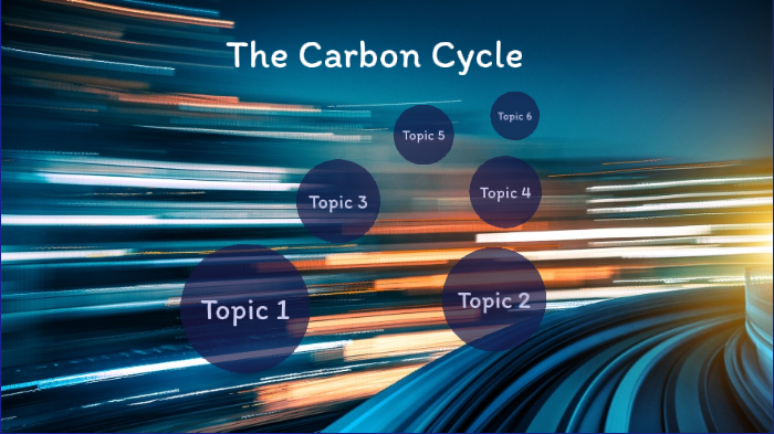 The Carbon Cycle by Reagan Harris on Prezi