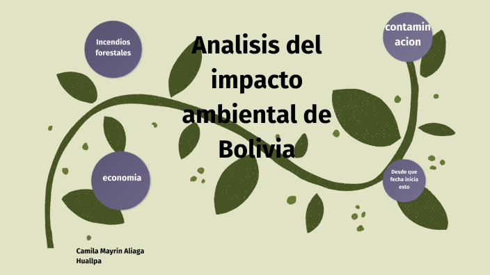 Analisis Del Impacto Ambiental De Bolivia By Camila Mayrin Aliaga Huallpa On Prezi 4139