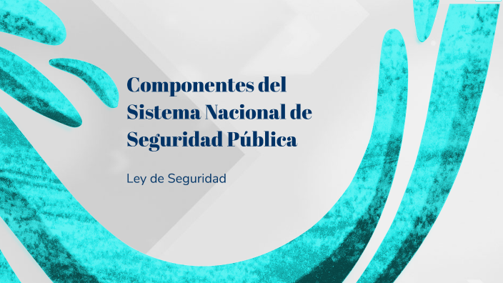 Componentes del Sistema Nacional de Seguridad Pública by said omar diaz ...