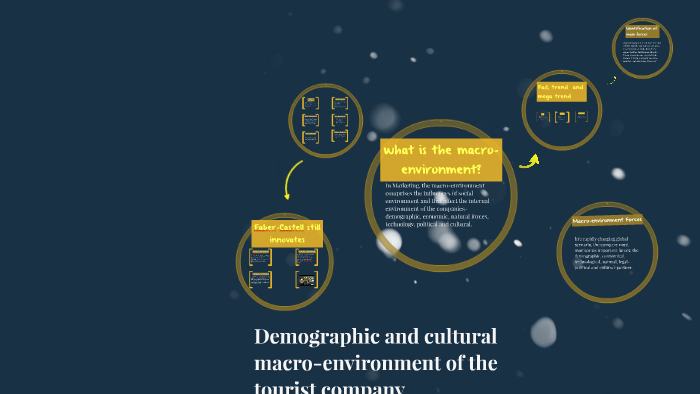 demographic-and-cultural-macro-environment-of-the-tourist-co-by-pedro