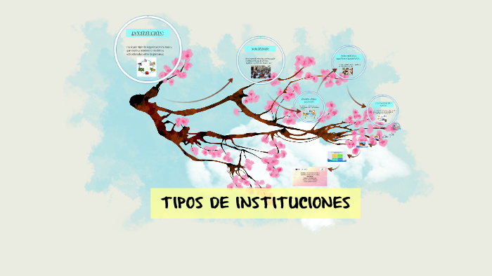 TIPOS DE INSTITUCIONES By Osmara Cruz On Prezi