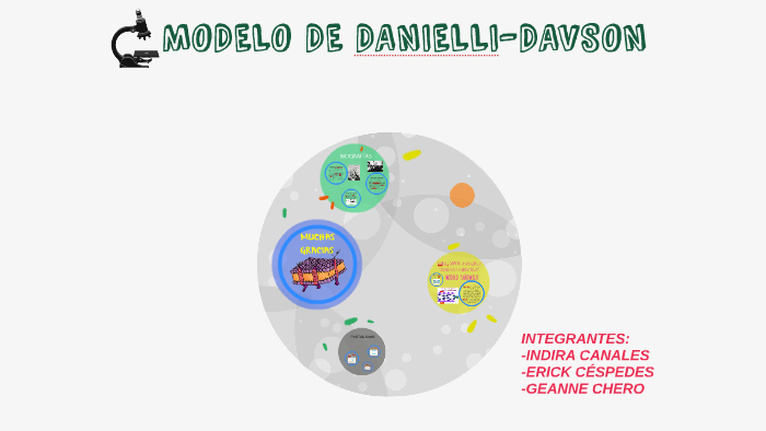 MODELO DE DANIELLI-DAVSON by Indira Canales