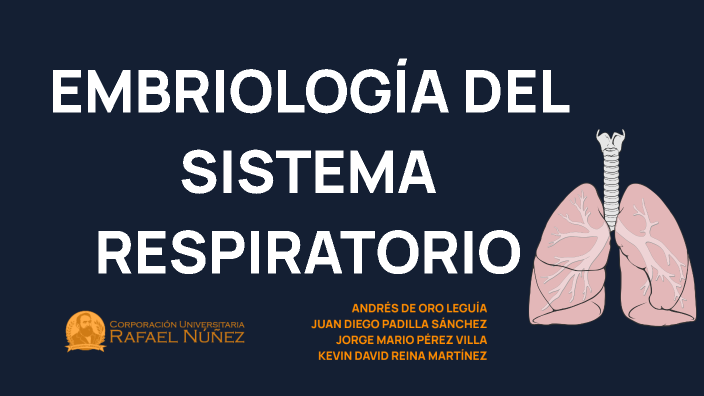 EMBRIOLOGÍA SISTEMA RESPIRATORIO by JORGE MARIO PEREZ VILLA on Prezi