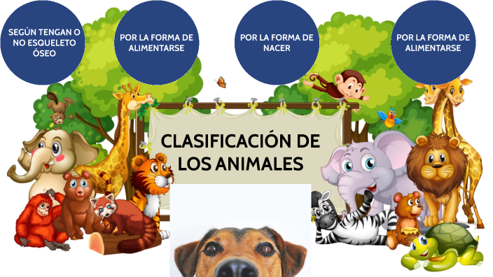 Clasificacion de los animales by Ana Sofía Rivera Palomino on Prezi