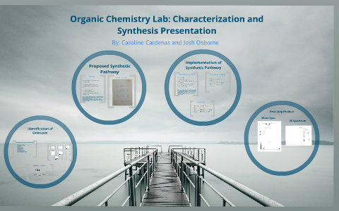 organic chemistry synthesis project ideas