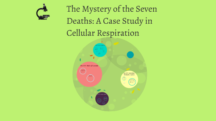 the mystery of the seven deaths case study quizlet