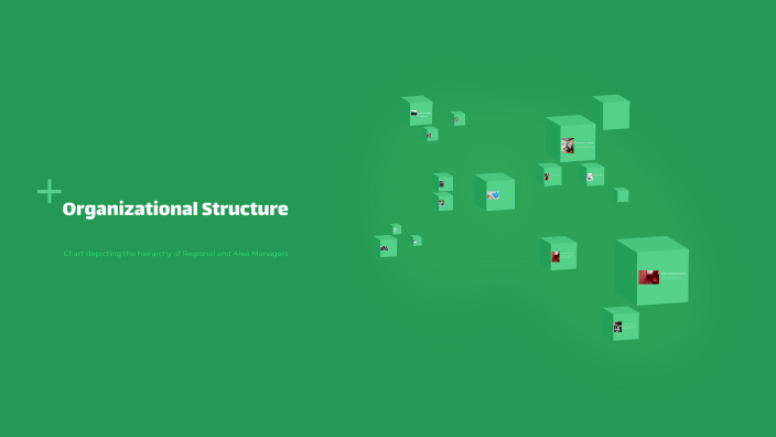 Organizational Structure by on Prezi