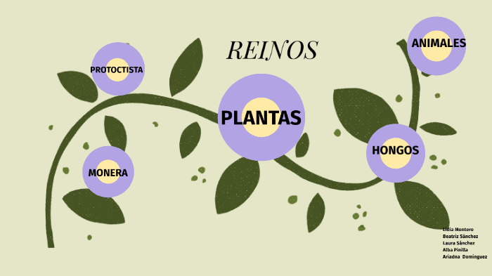 reinos by Beatriz Sánchez on Prezi
