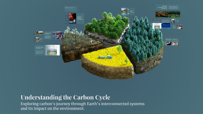 Understanding the Carbon Cycle by Taranjeet Dhaliwal on Prezi