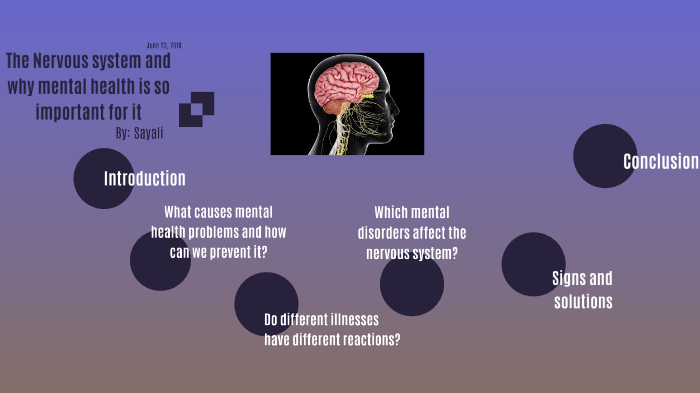 The Nervous system and why mental health is so important for it by ...